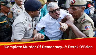 '100% Dictatorship': Derek O'Brien Slams Centre As Delhi Police Detains TMC Leaders