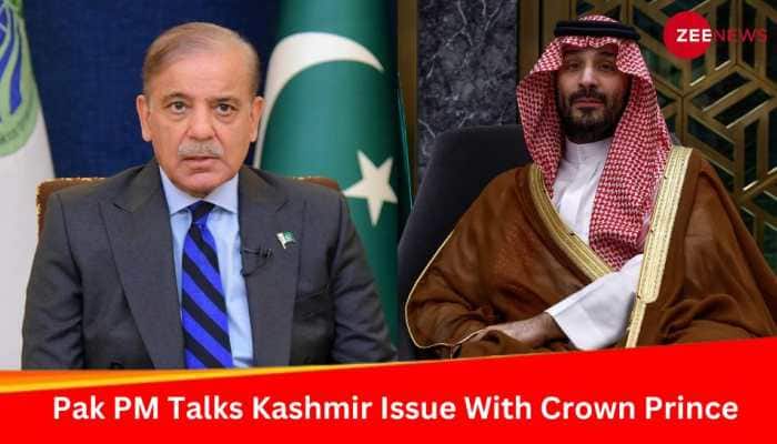 Saudi Echoes India&#039;s &#039;No Interference From External Parties&#039; Stance On Kashmir After Talks With Pak