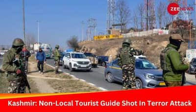Kashmir: Non-Local Tourist Guide Shot In Terrorist Attack In Shopian
