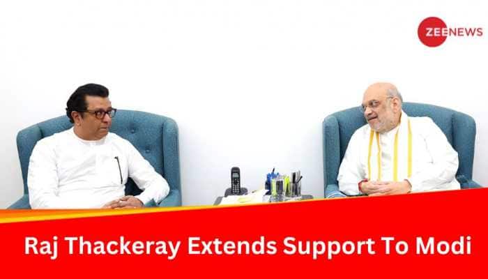 Raj Thackeray&#039;s MNS Extends Support To Modi; To Contest Maharashtra Assembly Polls, Not Lok Sabha
