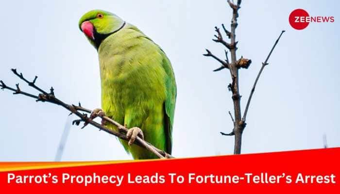 Parrot’s Political Prophecy On NDA Victory Leads To Fortune-Teller’s Arrest In Tamil Nadu