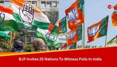 BJP Invites 25 Nations To Observe Campaigning And Polls In India: 10 Points