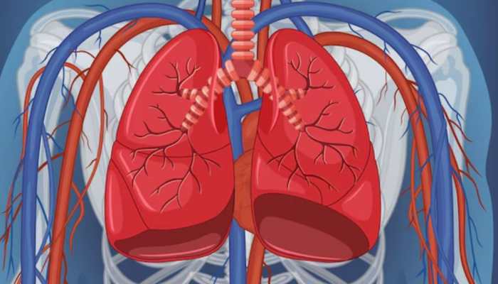 Research Connects Colourless, Odourless Gas to Increase In Nonsmokers' Lung Cancer