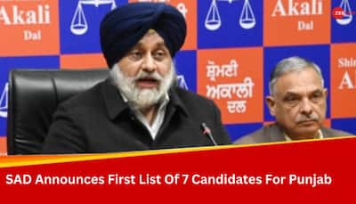 Lok Sabha Elections 2024: Akali Dal Releases First List, Names 7 Candidates Including Daljeet Singh Cheema From Gurdaspur