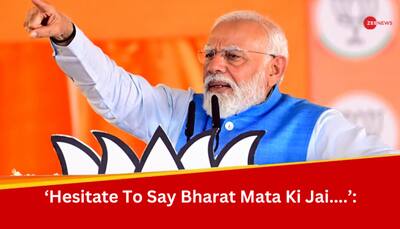 'Congress Has Become Tukde-Tukde Gang's Sultan...': PM Modi In Karnataka