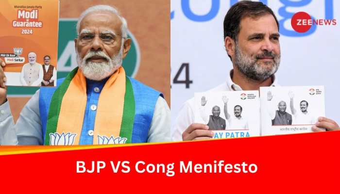 Lok Sabha Election 2024: What BJP And Congress Manifestos Promise For Women And Farmers
