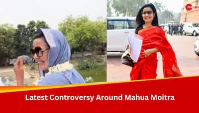 'Sex... or Eggs?': Mahua Moitra's Doctored Video On 'Secret Of Energy' Goes Viral