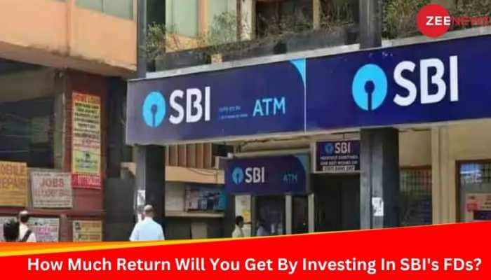 How Much Return Will You Get By Investing In SBI&#039;s FDs? Check Here