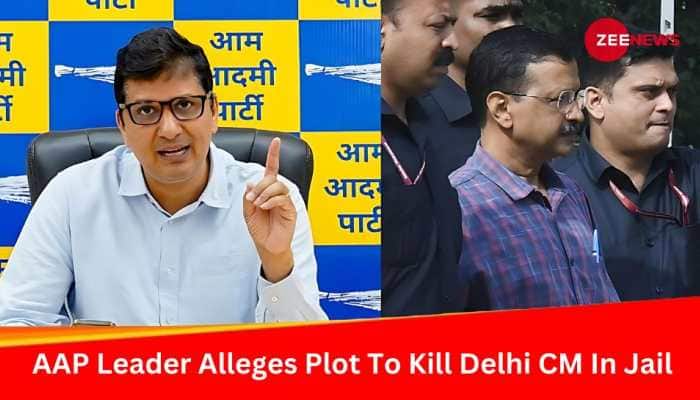 AAP Alleges Conspiracy To Kill Delhi CM Arvind Kejriwal In Jail, Stages Protest Outside Tihar