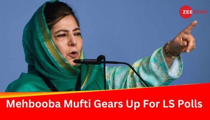 PDP Resist Through Vote And Voice, Not Stones Or Guns: Mehbooba Mufti 