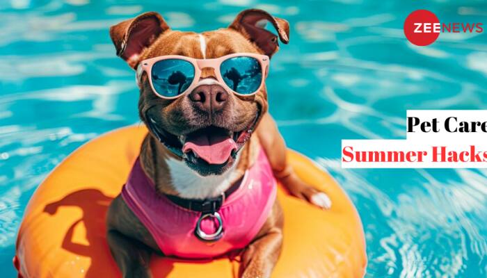 Pet Care In Summer: 5 Essential Tips To Safeguard Your Furry Friends In Hot Weather