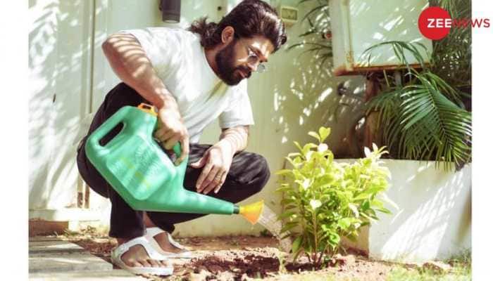 Allu Arjun Extends &#039;Happy Earth Day&#039; Greetings to All Plant Enthusiasts