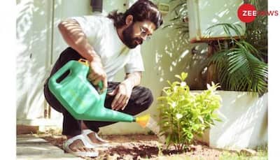 Allu Arjun Extends 'Happy Earth Day' Greetings to All Plant Enthusiasts