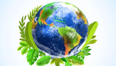 Earth Day: Sustainability Leaders Lead The Charge Towards Environmental Preservation