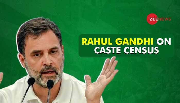 &#039;Caste Census Mission Of My Life&#039;: Rahul Gandhi Says No Force Can Stop It If Congress Wins Elections