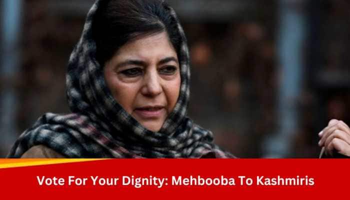 Gun And Violence Gave Nothing To Kashmir, Vote To Fight For Your Rights: Mehbooba Mufti
