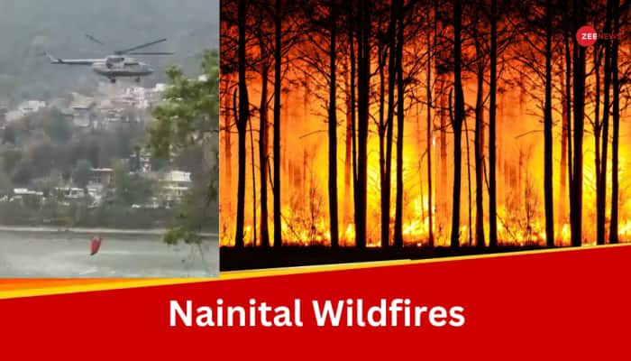 Indian Army, IAF Called In As Forestfire In Nainital Reaches High Court Colony