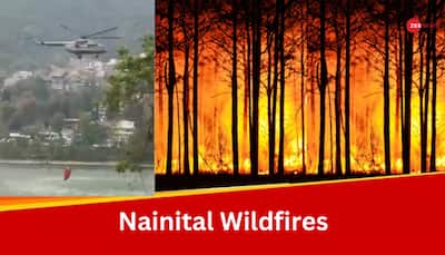 Indian Army, IAF Called In As Forestfire In Nainital Reaches High Court Colony