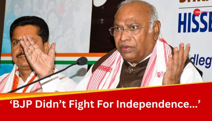 &#039;Did Not Implement Even One Of His Electoral Promises&#039;: Mallikarjun Kharge Slams PM Modi