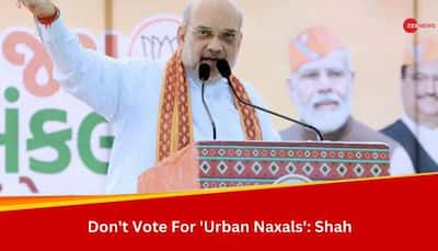 Congress, AAP Are Liars, Don't Vote For 'Urban Naxals': Amit Shah In Bharuch Rally