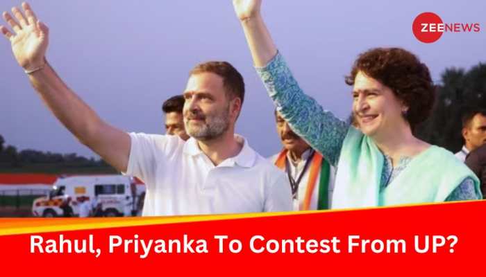 Rahul Gandhi From Amethi, Priyanka From Rae Bareli? Congress Proposes Names For Key Seats