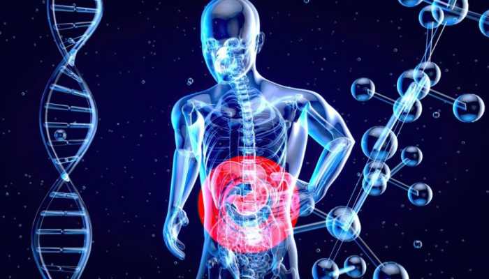Digestive Troubles: Types And Solutions