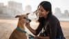 National Pet Parents Day 2024: 5 Essential Tips To Keep In Mind While Adopting A Dog