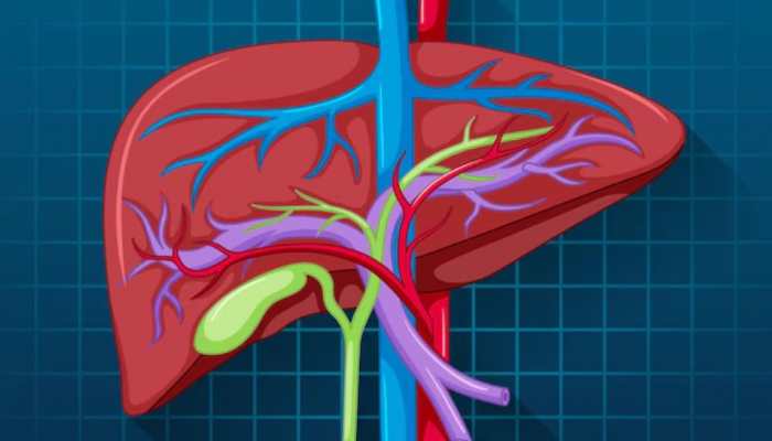 5 Foods To Manage Fatty Liver - Check Expert's Advice