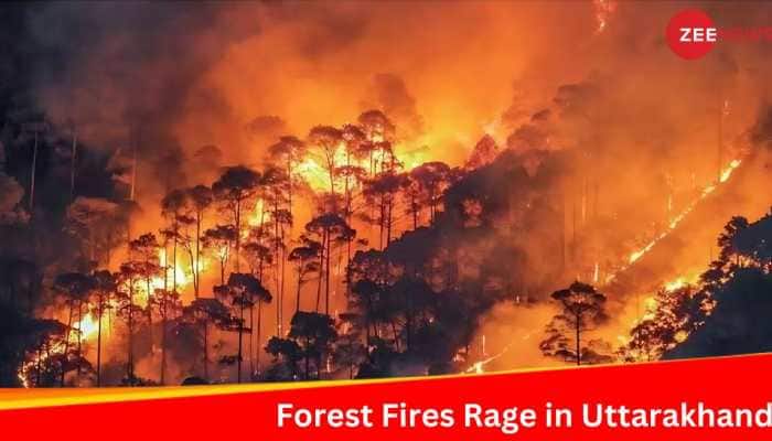 Uttarakhand&#039;s Worst Nightmare: Forest Fires Rage As April Records Driest Weather In Half A Decade