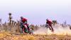 Ducati DesertX Rally Launched At Rs 23.7 lakh; Check Design, Features, And Other Details