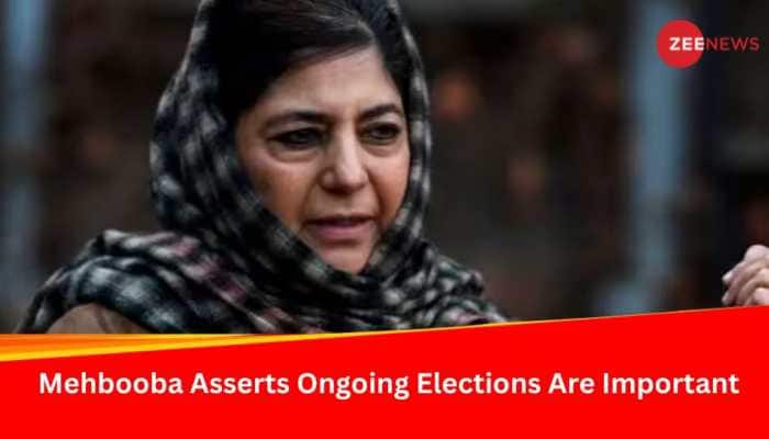 &#039;Opportunity For J&amp;K People...&#039; Mehbooba Mufti On 2024 Lok Sabha Elections