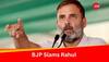 As Rahul Gandhi Shifts To Rae Bareli, BJP Takes 'No Chance Against Smriti Irani' Dig