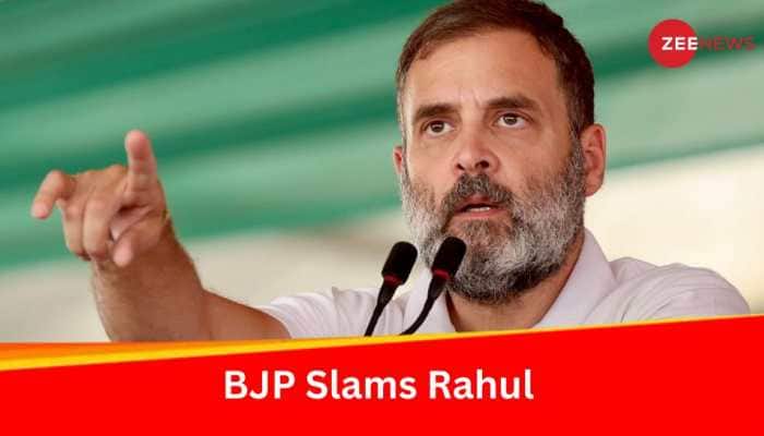 As Rahul Gandhi Shifts To Rae Bareli, BJP Takes 'No Chance Against Smriti Irani' Dig