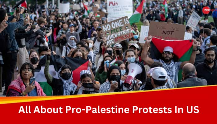 Explained: All You Need To Know About Pro-Palestine Protests By Students At US Universities