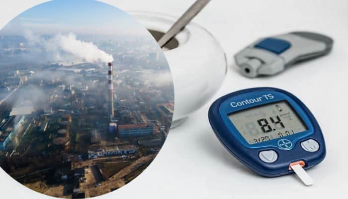 High Blood Sugar: Air Pollution Reduction Important To Combat Rising Diabetes Cases In India, Doctors Call For Action