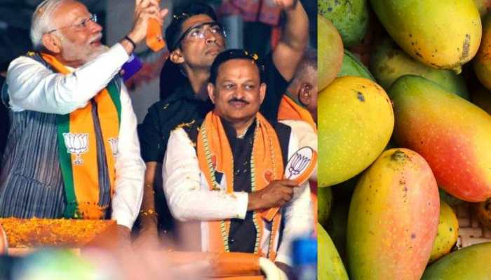 From Aam to Khaas: Kanpur's Ramesh Awasthi Gets Lok Sabha Ticket and PM Modi's Blessing