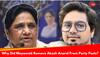 Why Did Mayawati Remove Nephew Akash Anand From Party Posts, Her Successor?