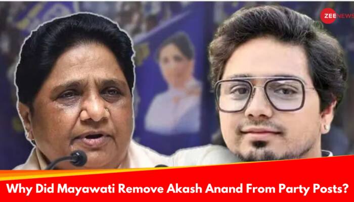 Why Did Mayawati Remove Nephew Akash Anand From Party Posts, Her Successor?