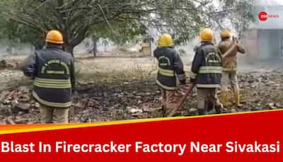 Tamil Nadu: 8 Die In Blast In Sivakasi Firecracker Factory