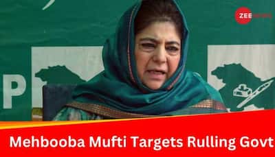 'Selectively Targeting And Harassing Our Party': Mehbooba Mufti Targets Modi Govt
