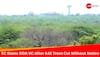 642 Trees Axed In South Delhi Ridge, SC Issues Criminal Contempt Notice to DDA VC