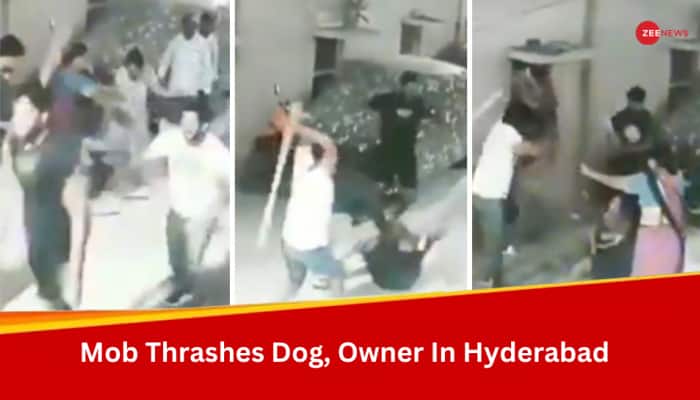WATCH: Dog Menace Turns Violent, Group Of Men Thrash Owner And Dog With Sticks - Full Story