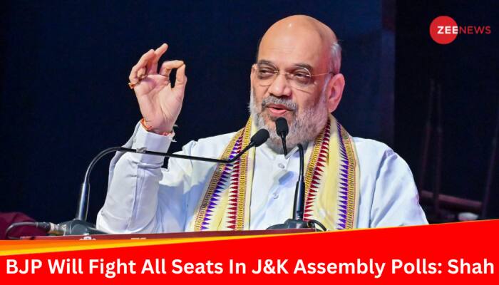 BJP To Contest All Seats In Upcoming Jammu And Kashmir Assembly Polls: Amit Shah’s BIG Announcement In Srinagar