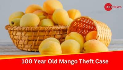 What Was Punishment For Mango Theft In India 100 Years Ago? Verdict Copy Found
