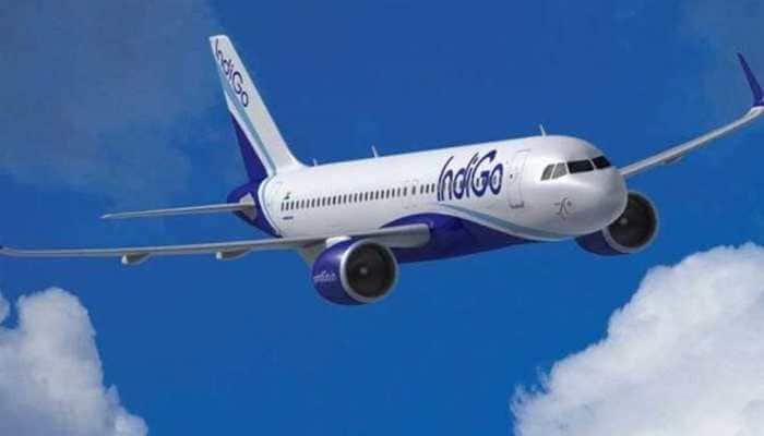 Indigo Airlines Issues Travel Advisory For Goa Flights Amid Runway Closure; Check Your Flight Status