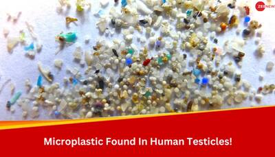 Shocking Study Reveals Presence Of Microplastics In Testicles, Is It Affecting Your Sperm Count?