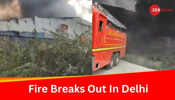  Delhi: Massive Fire Breaks Out At Factory In Mundka Industrial Area 