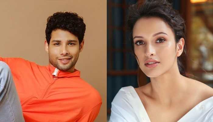 Siddhant Chaturvedi Joins Forces With Tripti Dimri In &#039;Dhadak 2&#039;