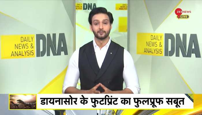 DNA: What is the secret of China's 'Dinosaur Mountain'?