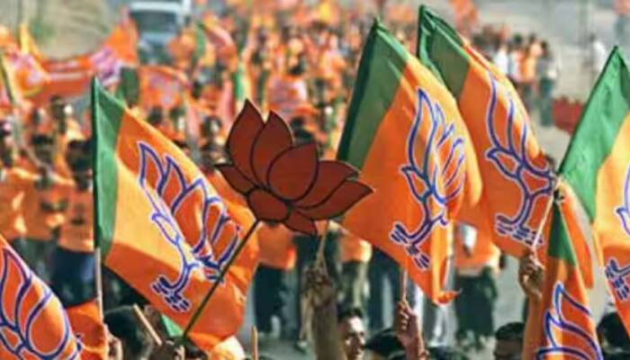FIR Against BJP Leaders For Singing 'PM Modi's Bhajans' At Temple In Himachal's Solan